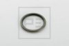 PE Automotive 011.432-00A Seal Ring